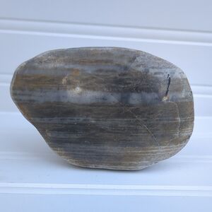 Hand Polished Petrified Wood 4"X2"X2.75" Blue Quartz Bands Large Palm Stone